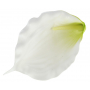 Kalla piankowa główka kwiatowa 55002-cream H253