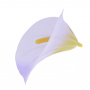 Calla satyna główka kwiatowa 53422-lilac BL045