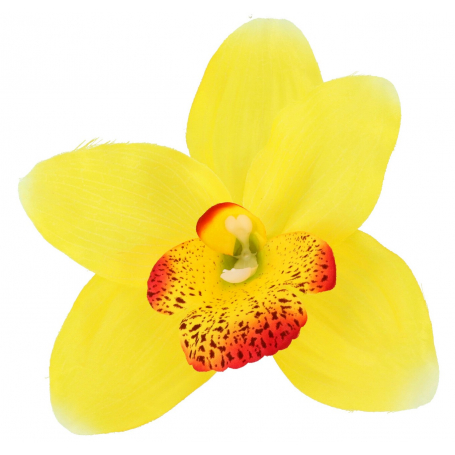 Storczyk główka kwiatowa 52415 new gold yellow