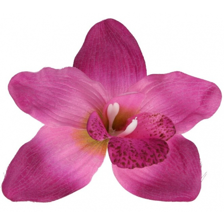 Storczyk główka kwiatowa 52415-beauty L021