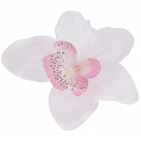 Storczyk główka kwiatowa 52415-lilac L021