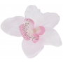 Storczyk główka kwiatowa 52415-lilac L021