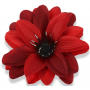 Dalia główka kwiatowa 55645-red blackL016