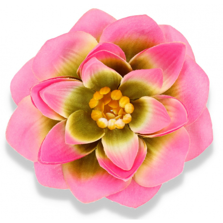 Dalia główka kwiatowa 50509 pink cream