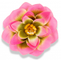Dalia główka kwiatowa 50509 pink cream