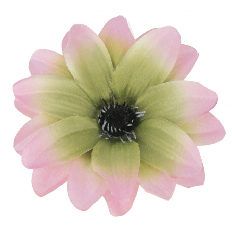 Dalia główka kwiatowa 55645-pink green L016