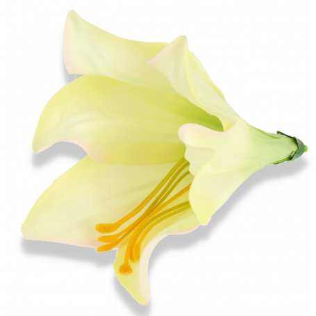 Lilia główka kwiatowa 56607-cream pink  J180
