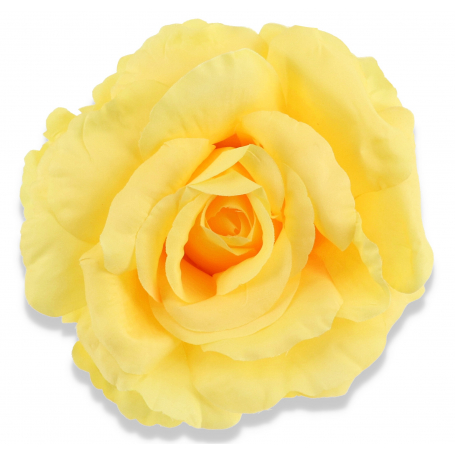 Róża główka kwiatowa 54912 KPW2405
