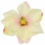 Magnolia główka kwiatowa 52111 3 L801