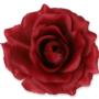 Róża Sonia główka kwiatowa 53384 3349