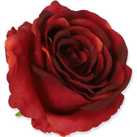 Róża główka kwiatowa 54390 36 LQ24