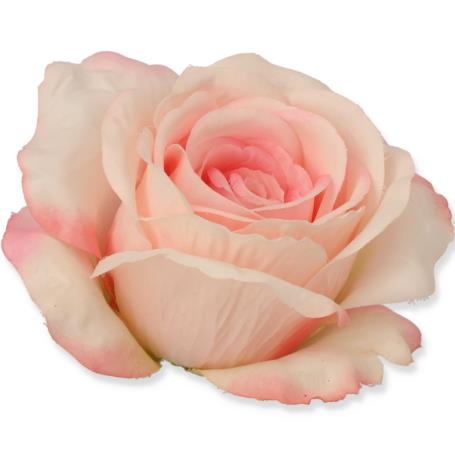 Róża główka kwiatowa 54390 60 LQ24