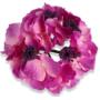 Hortensja główka kwiatowa 55659 dk lavender
