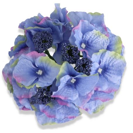 Hortensja główka kwiatowa 55659 dk blue