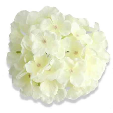 Hortensja główka kwiatowa 55658 cream green
