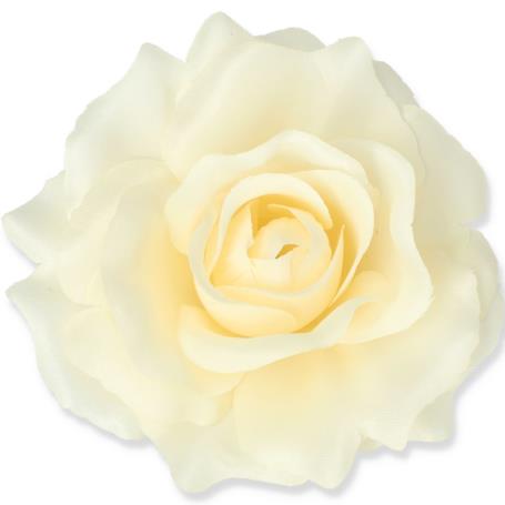 Róża Sonia główka kwiatowa 53384 CR537