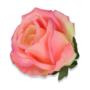 Róża główka kwiatowa 55728 AN83