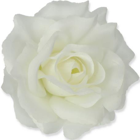 Róża Sonia główka kwiatowa 53384 CR192