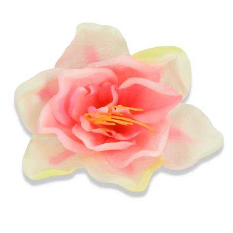 Amarylis główka kwiatowa 55010 lt pink
