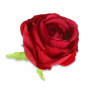 Róża główka kwiatowa 59978