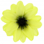 Dalia główka kwiatowa 55645-green L016