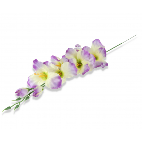 50185 lavender green