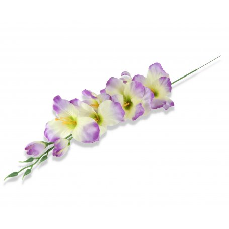 50185 lavender green