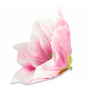 56608 lilac cream_2