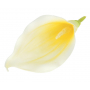 Kalla piankowa mała główka kwiatowa 56331-C10