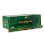 6 eucalyptus
