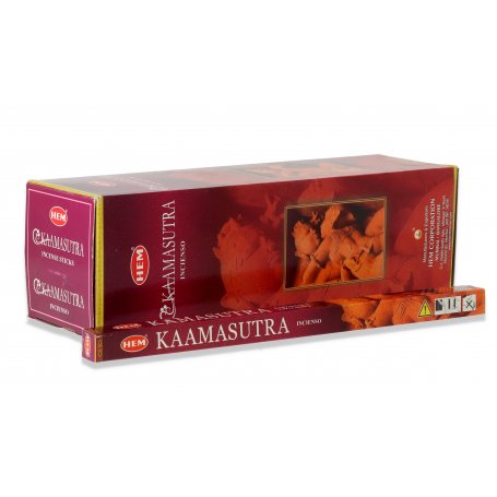 6 kamasutra