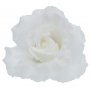 52510 white