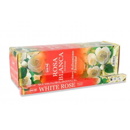 6 white rose