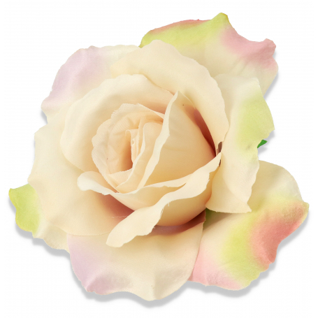 52510 cream lilac
