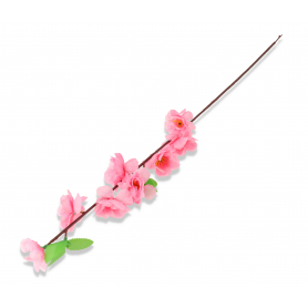 Jabłonka gałązka pojedyncza