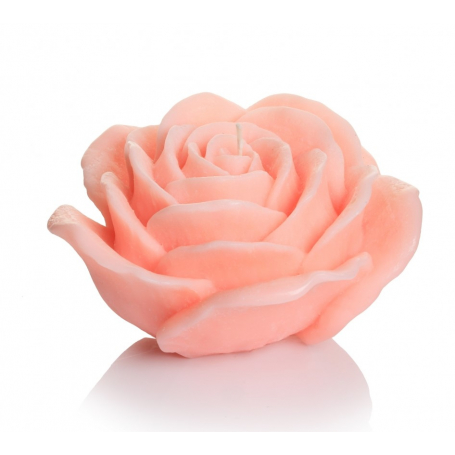 79631 pink