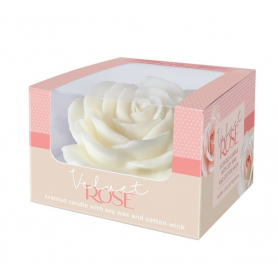 Świeca Velvet Rose 120x70 mm box 79631 IVORY