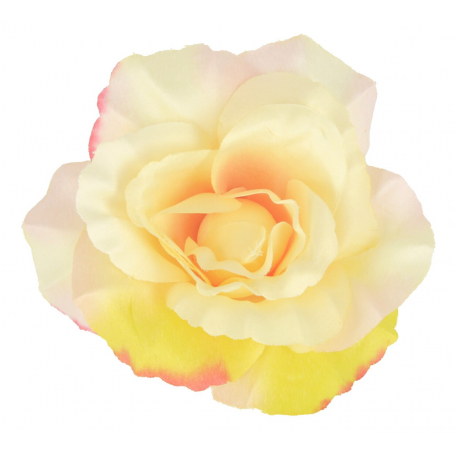 Róża głowka kwiatowa 55319 3