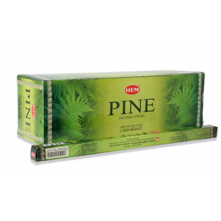 6 pine