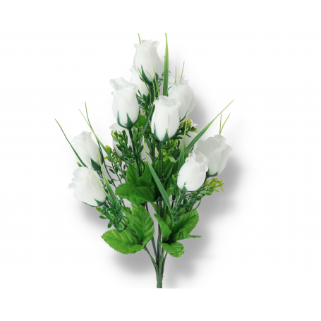 53829 white