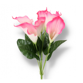 Bukiet Kalli 22183007