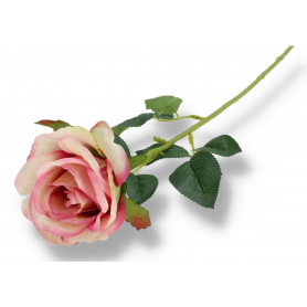 Róża gałązka pojedyncza VIP2961 mix