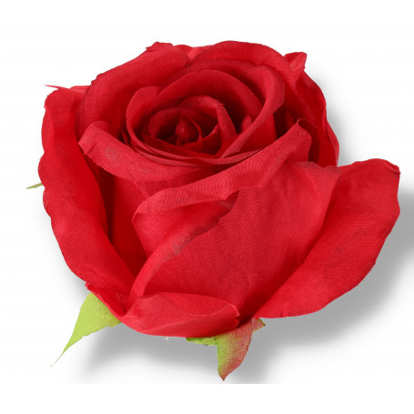 50620 red
