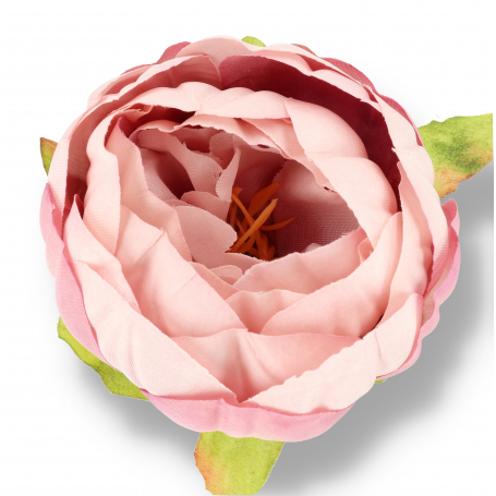 52602 aut lt pink