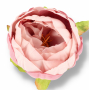 52602 aut lt pink