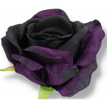50620 purple