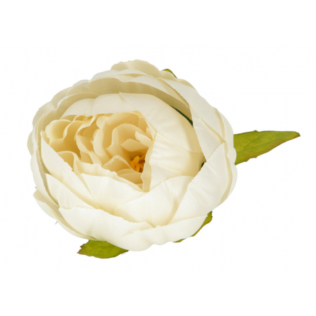 Piwonia kulka główka kwiatowa 52602-aut cream N006