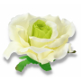 52510 white green