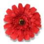 Gerbera główka kwiatowa 59370 red black F049