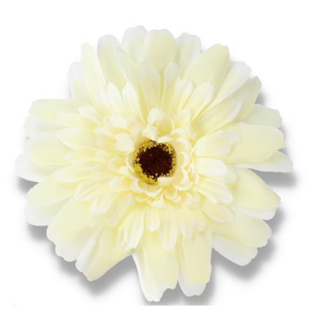 Gerbera główka kwiatowa 59370 cream F049